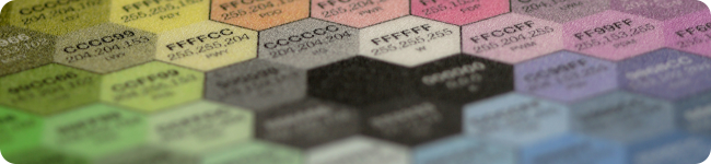 Finalize a Web Design Concept